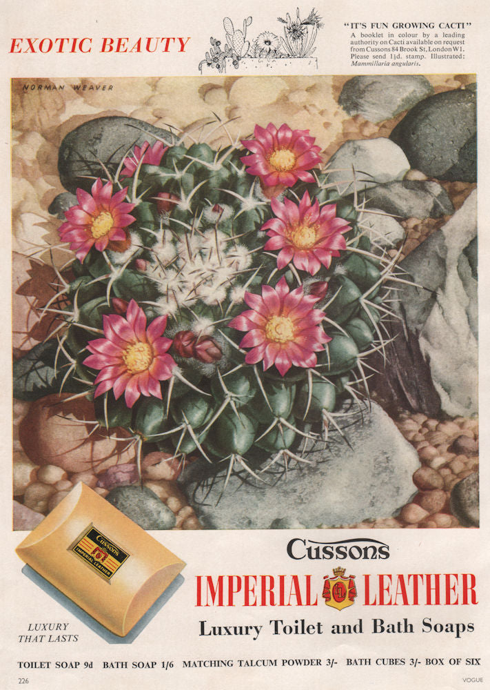 Exotic Beauty. Cussons Imperial Leather Luxury Soaps. Fashion advert 1955